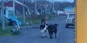 Фото: кадр из видео