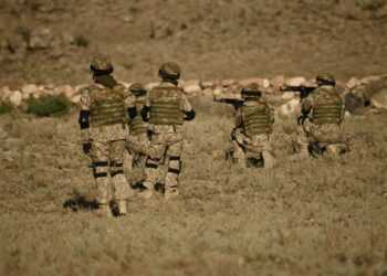 Фото: freepik.com