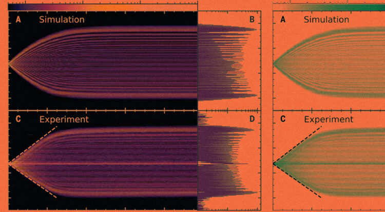 Фото: Science