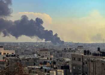 Фото: Globallookpress.com