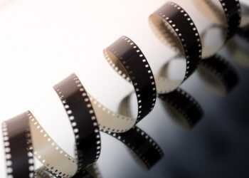 Фото: pixabay.com