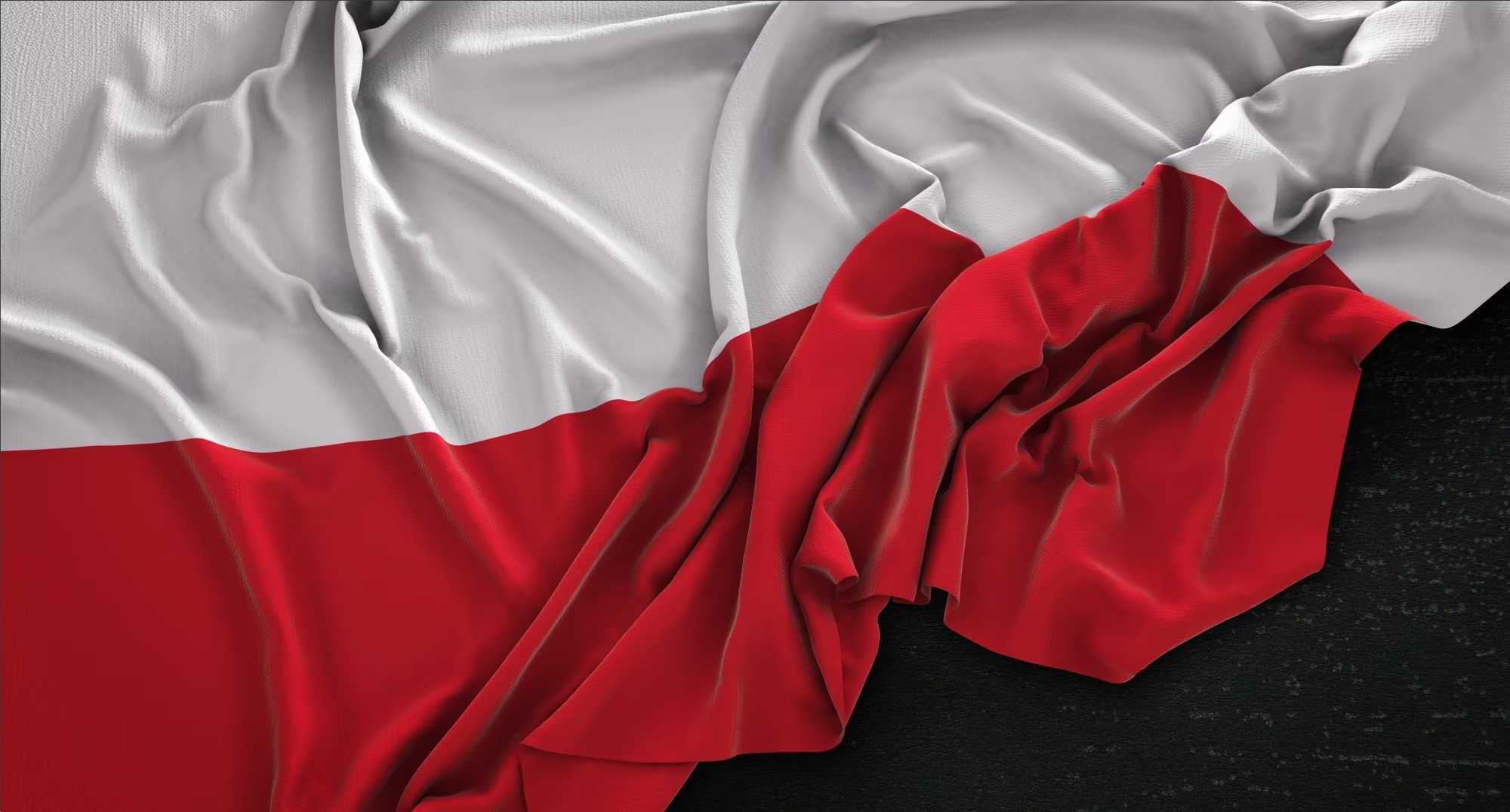 Глава МИД Польши Сикорский призвал снова научиться играть в эскалацию с РФ