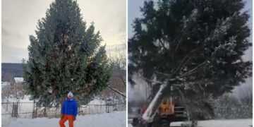 Кадр из видео, kp.ru