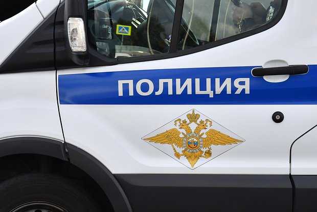 Нижегородская полиция пообещала 500 тыс. рублей за данные об убийстве пенсионерки