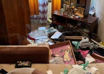 Фото: ГУ МВД России по городу Санкт-Петербургу и Ленинградской области