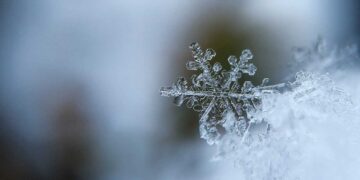 Фото: pixabay.com