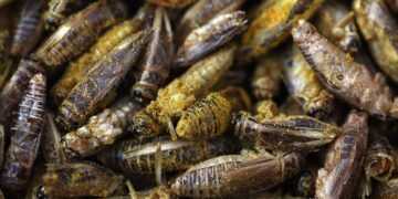 Фото: Getty Images