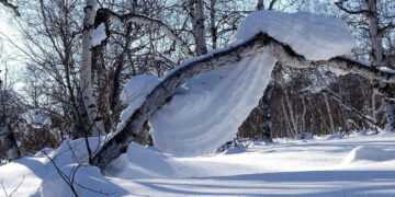 Фото: Pixabay.com