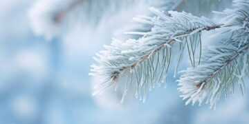 Фото: Freepik