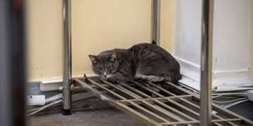 Фото: Государственный Эрмитаж