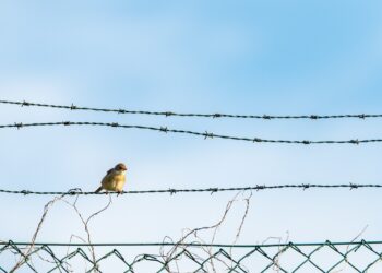 Фото: Freepik