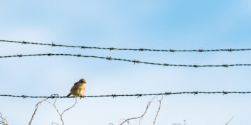Фото: Freepik