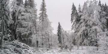 Фото: Shutterstock