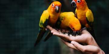 Фото: Freepik