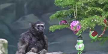 Фото: Московский зоопарк