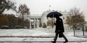 Фото: AP Photo