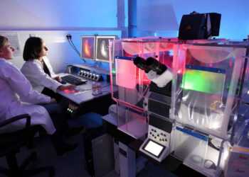 Фото: Global Look Press