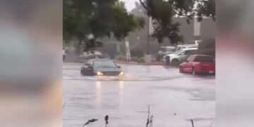 Фото: соцсети