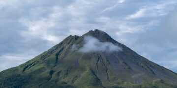 Фото: freepik