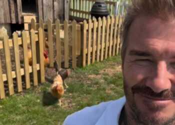 Фото: соцсети Дэвида Бекхэма