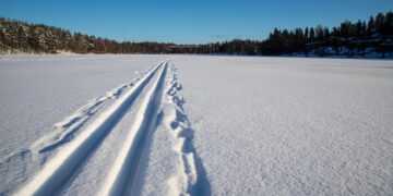 Фото: ru.freepik.com/wirestock