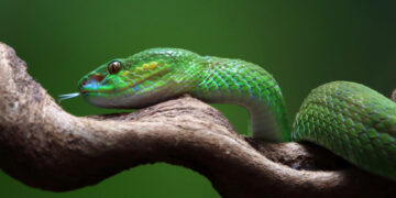 Фото: freepik.com