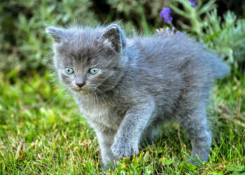 Фото: freepik.com