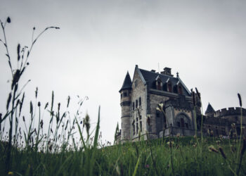 Фото: freepik.com