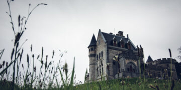 Фото: freepik.com