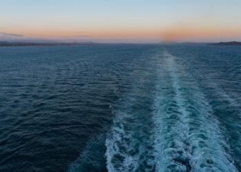 Фото: freepik.com/Mateus Andre