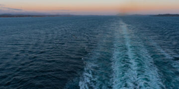 Фото: freepik.com/Mateus Andre