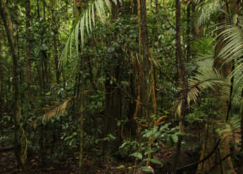 Фото: freepik.com