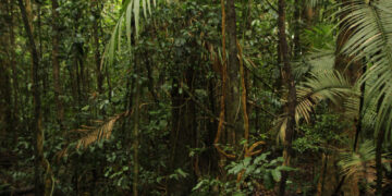 Фото: freepik.com