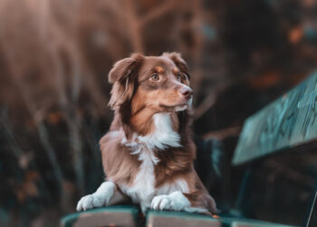 Фото: freepik.com/wirestock