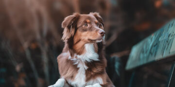 Фото: freepik.com/wirestock