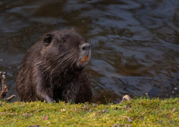 Фото: freepik.com/wirestock