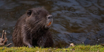 Фото: freepik.com/wirestock