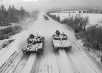 Фото: freepik.com/freepik