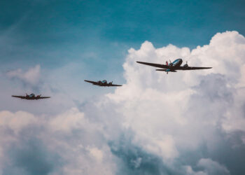 Фото: freepik.com/wirestock