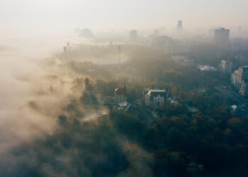 Фото: freepik.com/teksomolika