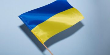 Фото: freepik.com/freepik