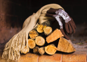 Фото: freepik.com/freepik