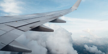 Фото: freepik.com/wirestock