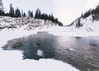 Фото: freepik.com/freepik