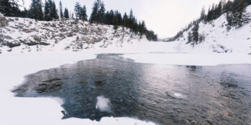 Фото: freepik.com/freepik