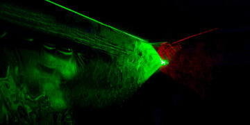 Фото: freepik.com/freepik