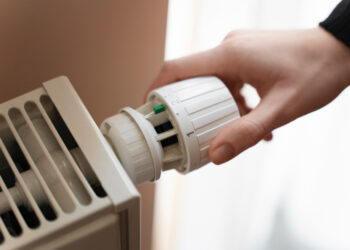 Фото: freepik.com/freepik