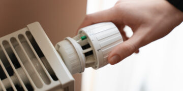 Фото: freepik.com/freepik