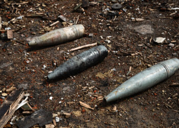 Фото: freepik.com/freepik