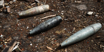 Фото: freepik.com/freepik